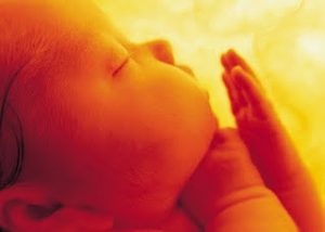 test-torch-clinica-medicala-privata-medo