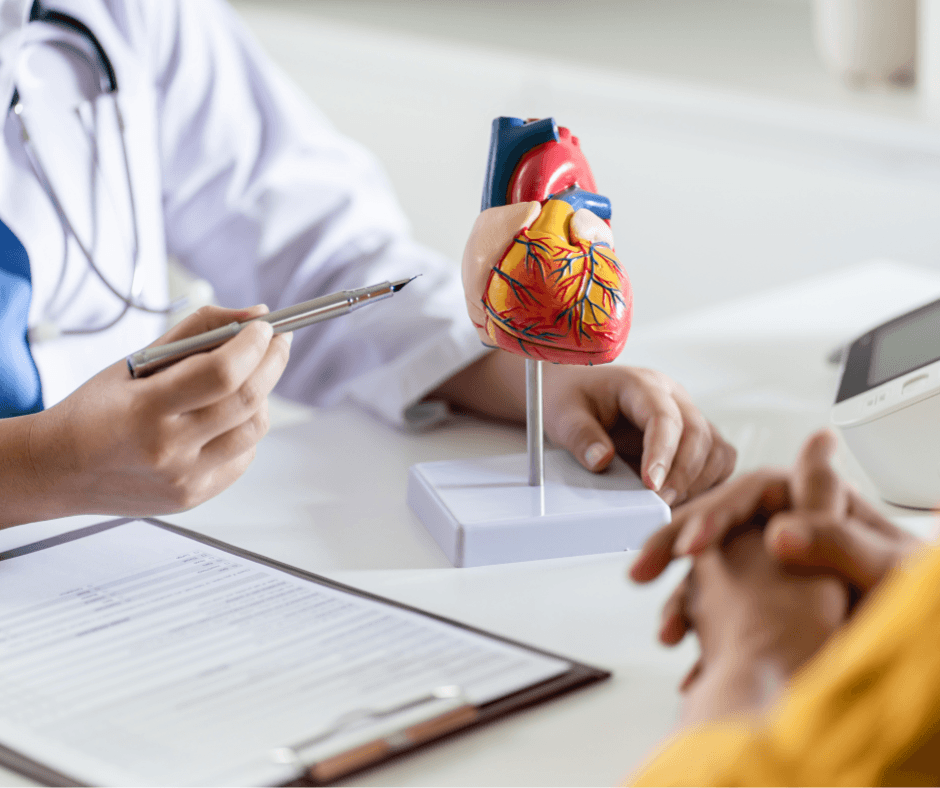 bolile cardiovasculare cardiologie